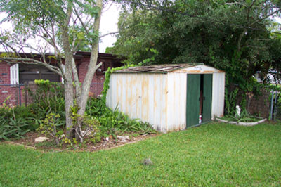 The shed