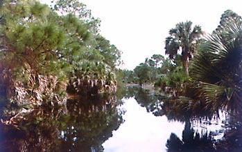 A canal scene.