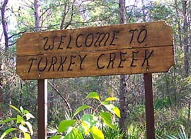 Welcome to Turkey Creek.