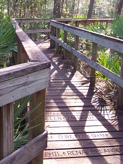 The boardwalk at Turkey Creek Sanctuary.