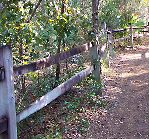 A dirt trail in the Turkey Creek Sanctuary.