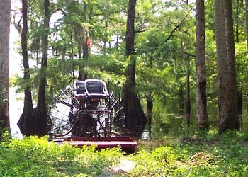 B-009 Airboat parked under cypress trees