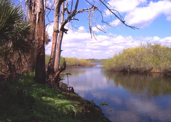 L-003 Looking to river from Mosquito Island