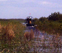Airboat on trail