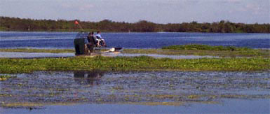 Airboat on Little Sawgrass