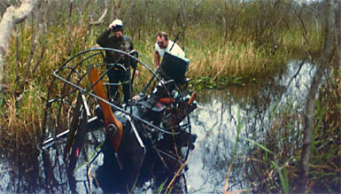 A Sunk Airboat in the Trail