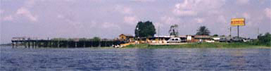 Camp Holly Fish Camp and Airboat Rides