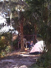 Camp on Mosquito Island