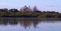 Mosquito Island across Little Sawgrass lake.